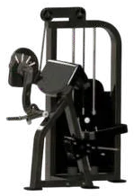 Bicep Curl – Type 1 – Jay Bhavani Fitness Solutions