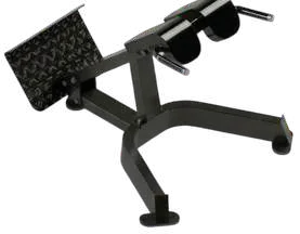 Hyper Extension – Type 1 – Jay Bhavani Fitness Solutions
