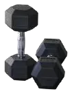 Rubber Dumbbell – Hex – Jay Bhavani Fitness Solutions