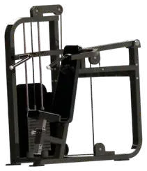 Shoulder Press – Jay Bhavani Fitness Solutions